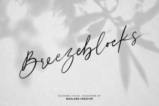 Breezeblocks: A Script Font for Modern Brands