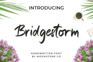 Bridgestorm Font: A Web Designer’s Review