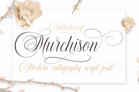 Murchison Typeface: Bold Script for Branding