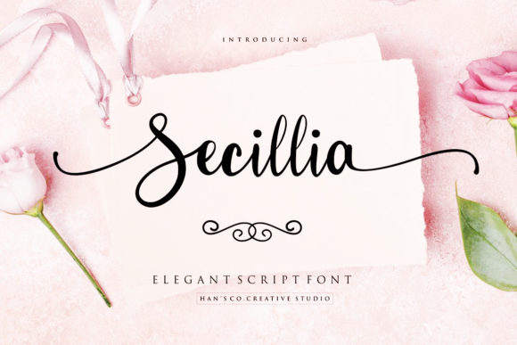 Secillia: A Designer’s Honest Review