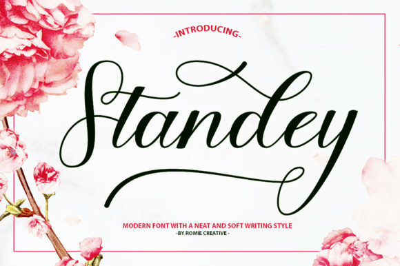 Standey Font Review: A Playful Script for Modern Branding
